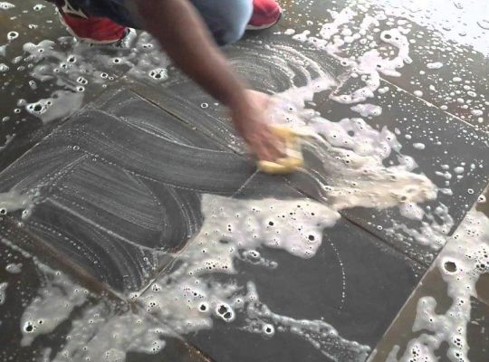 Desengraxante Bio - degradável 